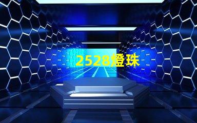 2528燈珠