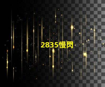 2835慢閃