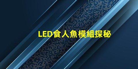 LED食人魚模組探秘新型LED食人魚模組的優勢與應用