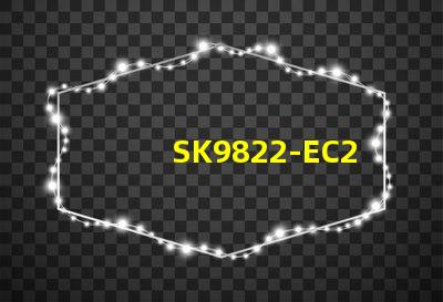 SK9822-EC20
