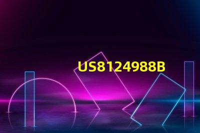 US8124988B2專利法律爭議解決方案專利維權策略全解析