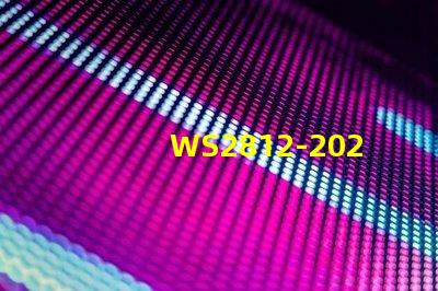 WS2812-2020