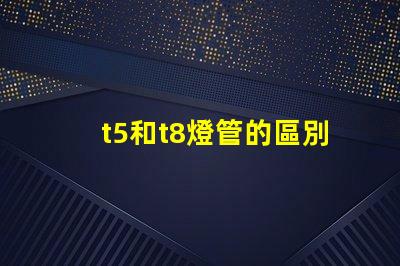 t5和t8燈管的區別深入分析兩者性能與適用場景