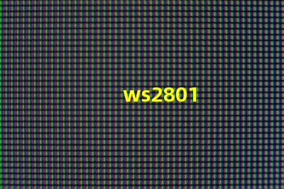 ws2801