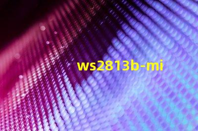 ws2813b-mini