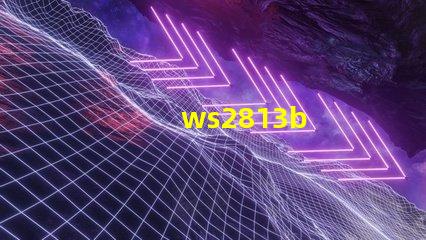 ws2813b