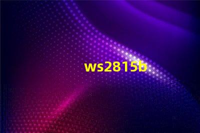 ws2815b