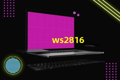 ws2816