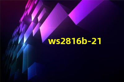ws2816b-2121
