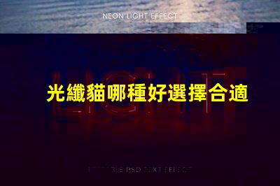 光纖貓哪種好選擇合適光纖貓的終極指南