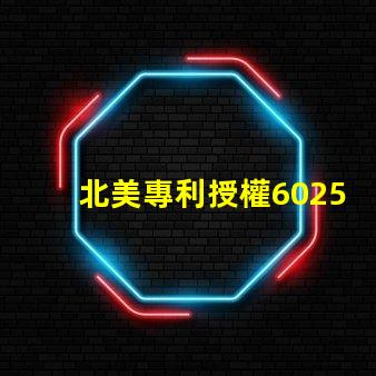 北美專利授權6025燈珠高效節能光源技術解密