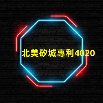 北美矽城專利4020燈珠us8124988b2技術解析,性能與應用詳解