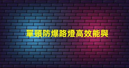 單頭防爆路燈高效能與安全性的完美結合,您準備好了嗎