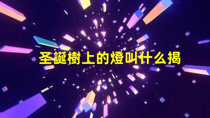 圣誕樹上的燈叫什么揭秘圣誕樹燈光的種類與選擇