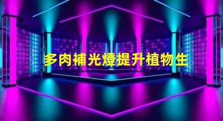 多肉補光燈提升植物生長的光源解決方案