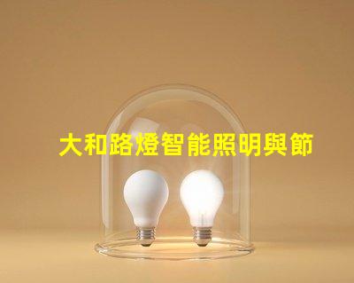 大和路燈智能照明與節能的完美結合