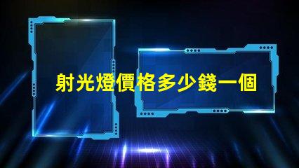射光燈價格多少錢一個市場價格解析與選購指南