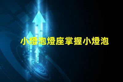 小燈泡燈座掌握小燈泡燈座選擇的技巧嗎