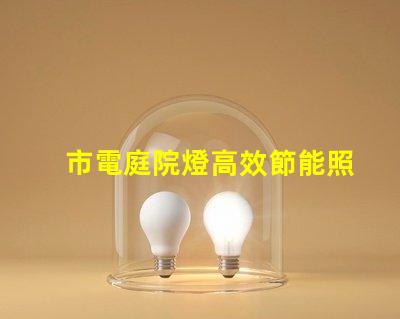 市電庭院燈高效節能照明選擇指南