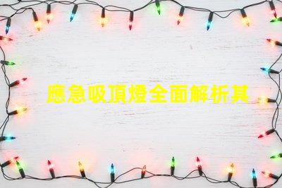 應急吸頂燈全面解析其應用與優勢