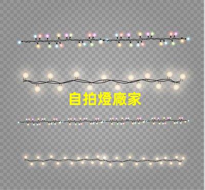 自拍燈廠家