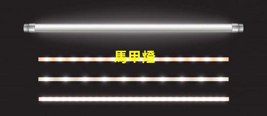 馬甲燈