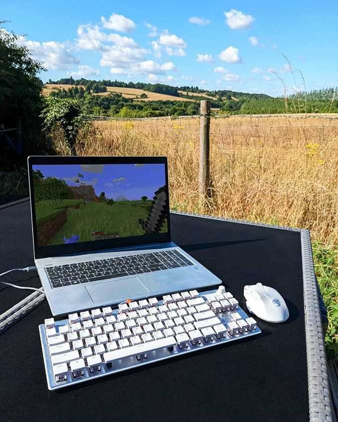 1. 芯片類型